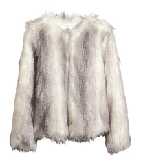 Aenean rutrum vestibulum metus eros